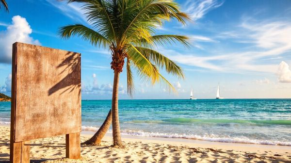 5 choses essentielles à savoir sur l'assurance auto en Guadeloupe